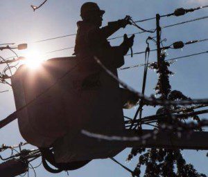 Toronto Hydro crews worked around the clock to restore power to 300,000 users. Chris Young - Cdn Press.